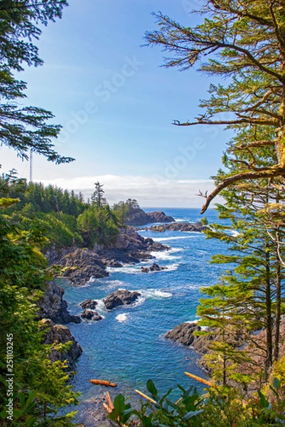 Fototapeta Rugged shoreline of wild pacific trail in Ucluelet, Vancouver Island, BC