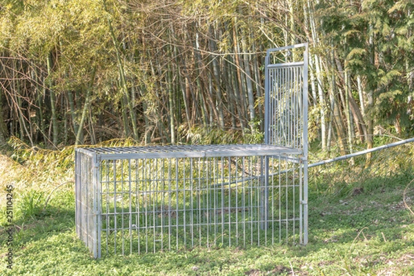 Fototapeta 野生動物用の罠の檻