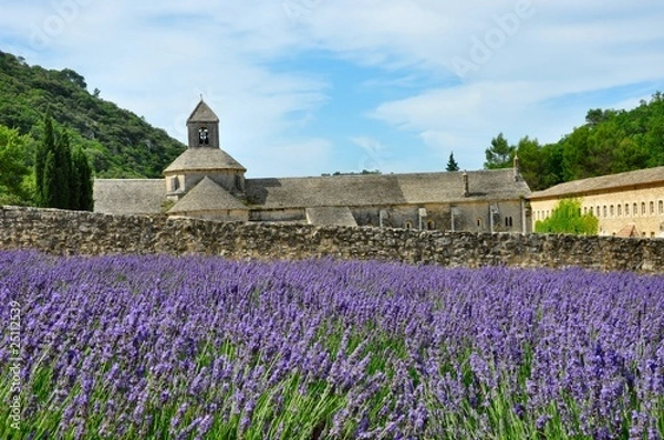 Obraz Abbaye de Sénaque