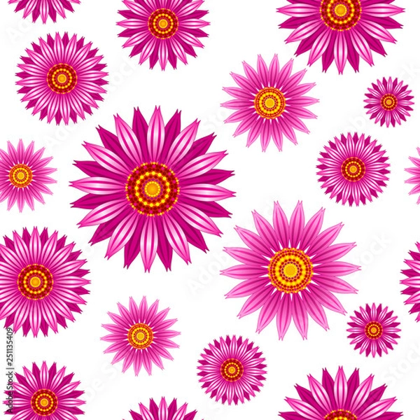Obraz Echinacea purpurea flowers vector seamless pattern. Vector seamless pattern of echinacea purpurea blooming flowers