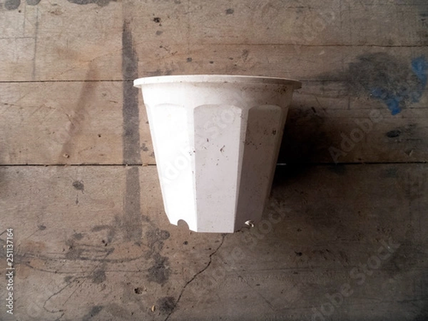 Obraz 苗・家庭菜園