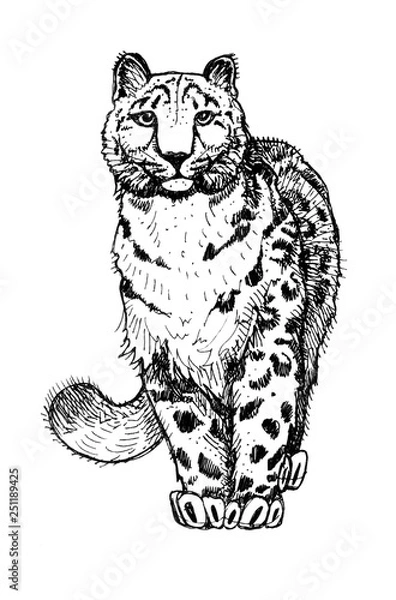 Fototapeta Wild cat. Snow leopard. Clipart for art work and weddind design.