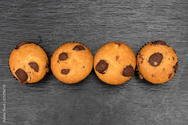 Fototapeta Chocolate chip muffin. View from above.