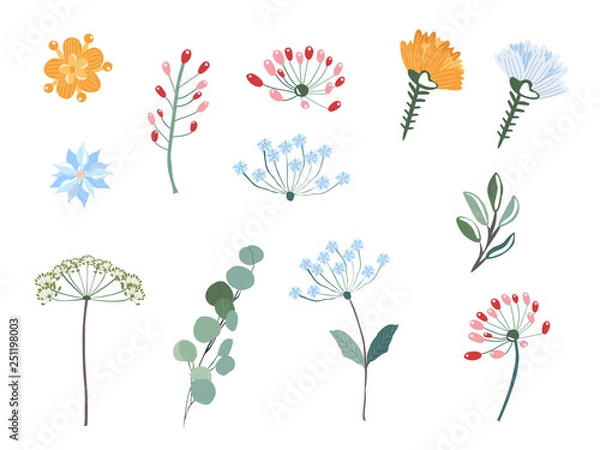 Fototapeta Vector floral set. Colorful floral collection with flowers. Set of floral elements. Vector illustration. Isolated on a white background.
