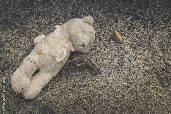 Obraz Old dirty bear doll abandoned on the grass., Lonely and sad concept. with copy space for text.
