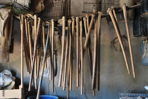 Obraz Eines del camp