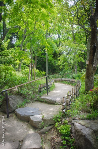 Fototapeta Jardín Japonés