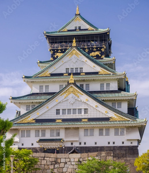 Obraz Osaka Castle