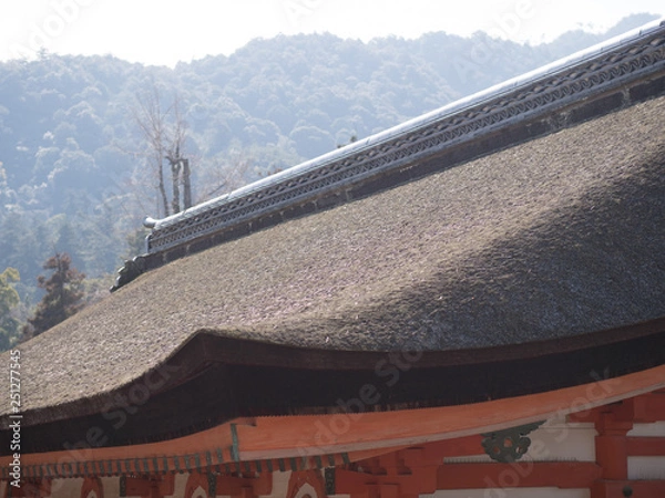 Fototapeta 古い屋根