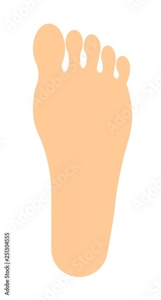Fototapeta 足の裏