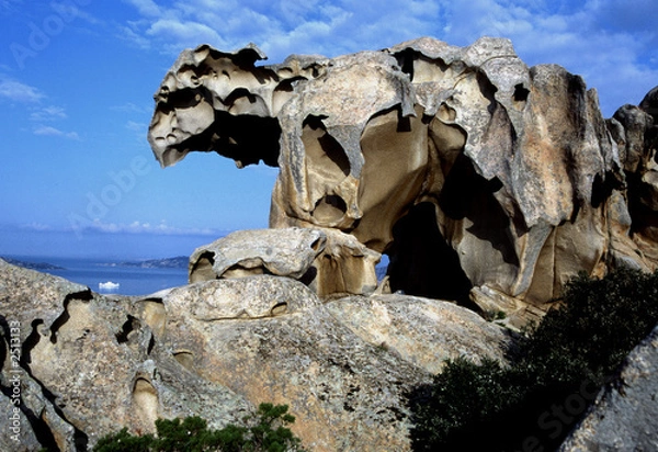 Obraz palau: roccia dell'orso