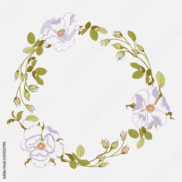 Obraz Floral branch of beautiful white wild rose with rose hips on white background, close-up