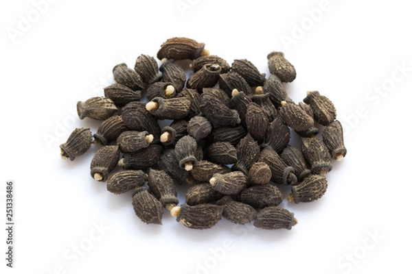 Obraz ボリジのタネ