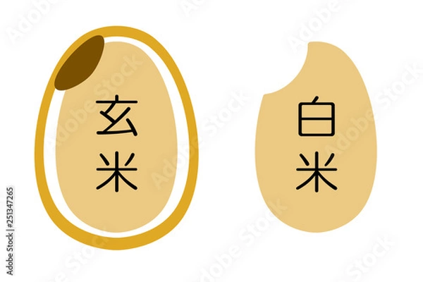 Obraz 玄米と白米