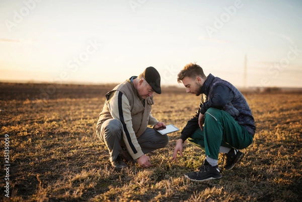 Fototapeta Farmers in the field use advanced technology.