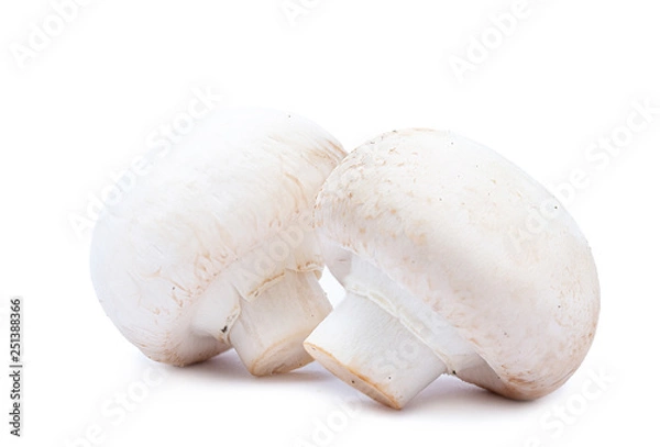 Fototapeta Two isolated ripe champignon mushrooms on white background