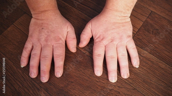 Obraz OLYMPUS DIGITAL CAMERA