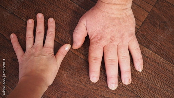 Obraz Kamera cyfrowa Olympus