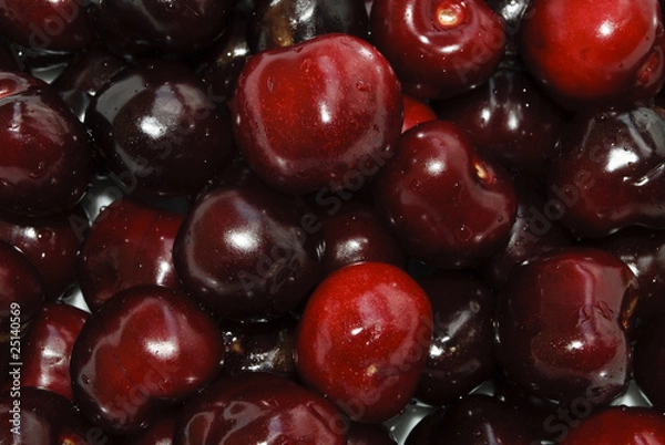 Obraz Picotas Rojas de Verano