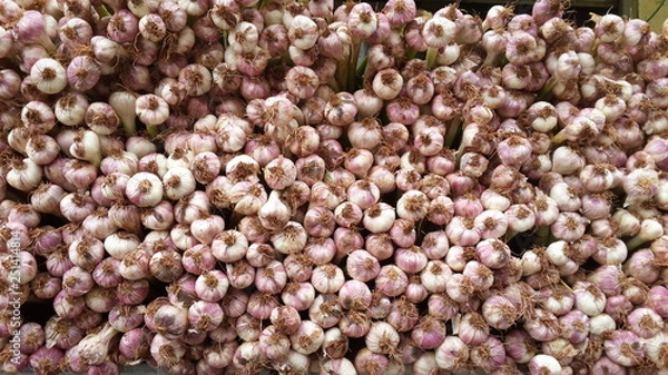 Fototapeta Spring garlic