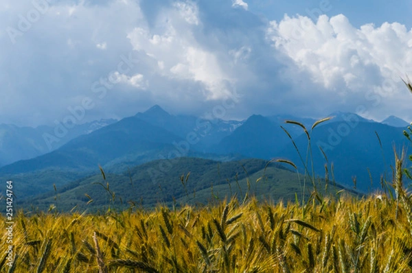 Obraz Wonderful Carpathian mountain landscape