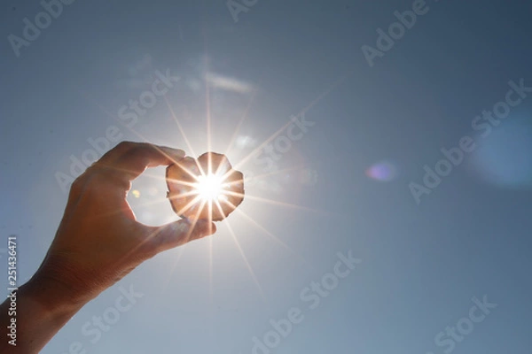 Obraz Brilliant rays of light