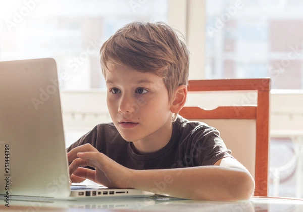 Fototapeta A young boy at home using a laptop to do his homework