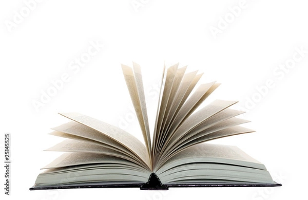 Obraz Open book