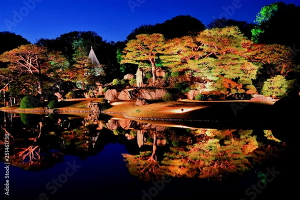 Fototapeta 六義園のライトアップ