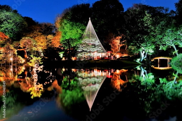 Fototapeta 六義園のライトアップ