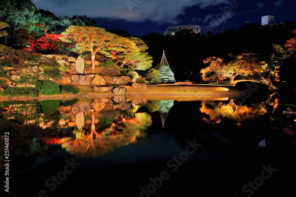 Fototapeta 六義園のライトアップ