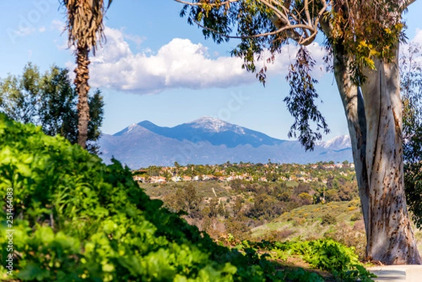 Obraz SAddleback peak in Orange County CA after a big winter snowfall