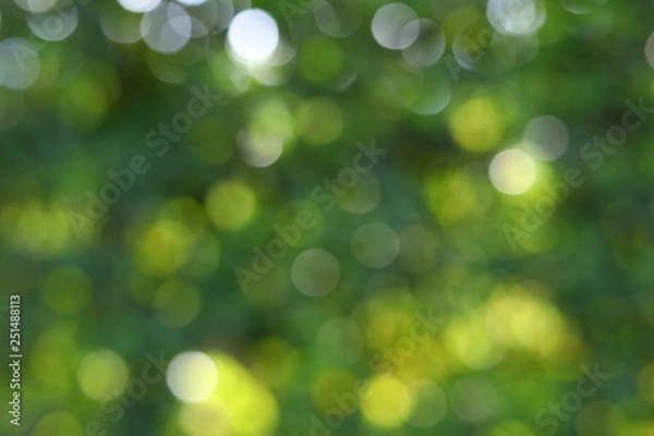 Fototapeta abstract blur beautiful green light bokeh nature summer background