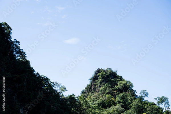 Obraz trees and blue sky
