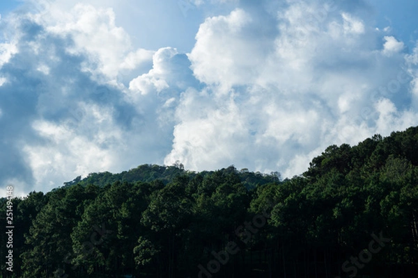 Obraz view of mountains