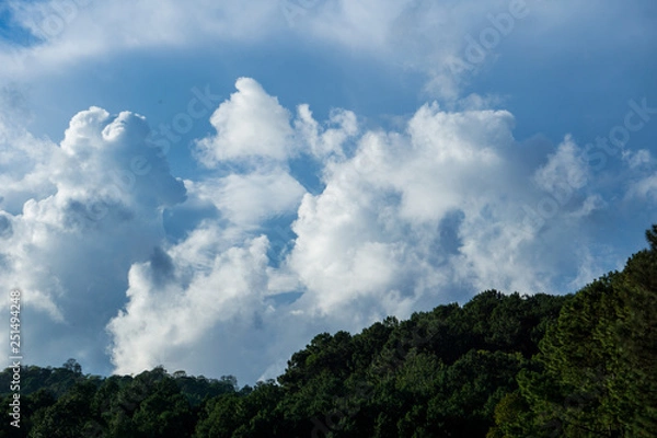 Obraz sky and clouds