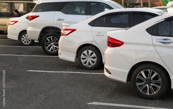 Fototapeta Closeup of back or rear side of white car and other cars parking in parking area in twilight evening. 