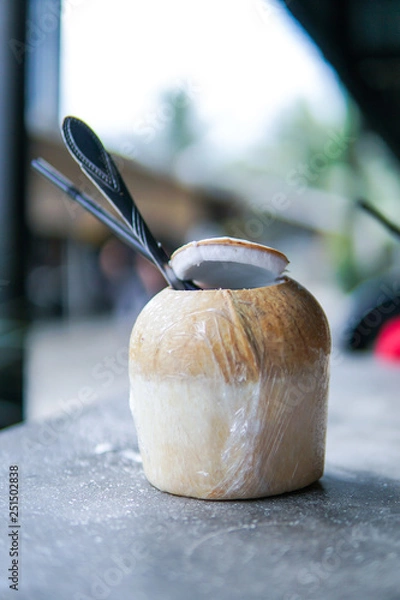 Obraz Close Up of Coconut water with blurred background and copyspace.