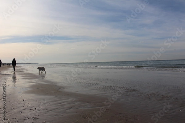 Obraz Hund am Meer