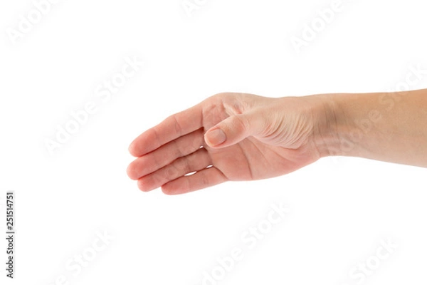 Obraz Two hands isolated on a white background
