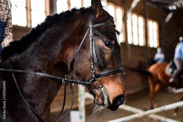 Fototapeta hard work