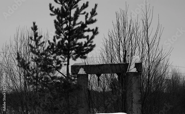 Fototapeta (C)Pantick        Pavel Burkov