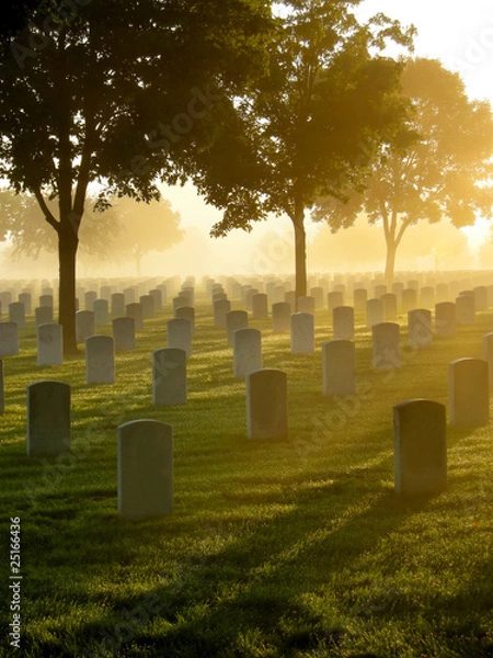 Obraz Cemetery in the Fog