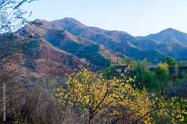 Fototapeta Qingshan pass the Great Wall and Castle Peak autumn scenery