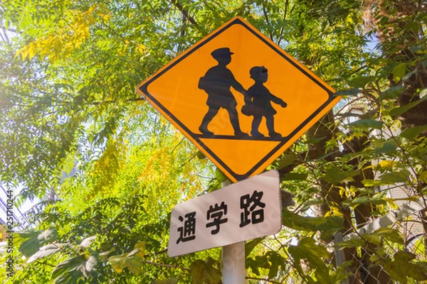 Fototapeta 通学路　