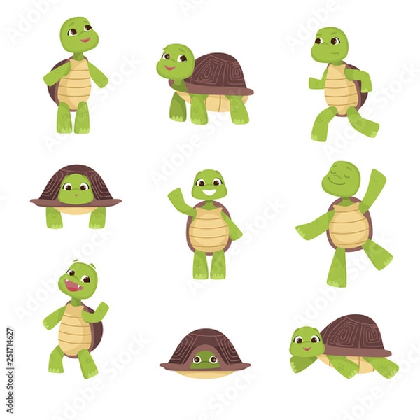 Fototapeta Set of cute green turtles with brown shell in various poses isolated on white background