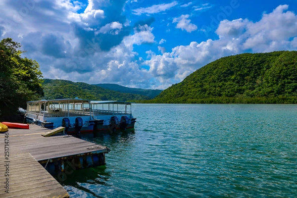 Obraz 浦内川　西表島　ボート