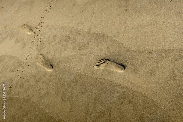 Obraz 砂浜の足跡