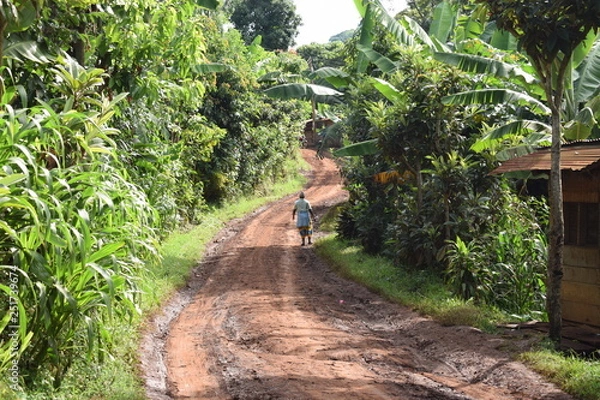 Obraz タンザニアの山道