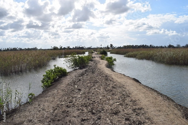 Obraz モザンビークの道